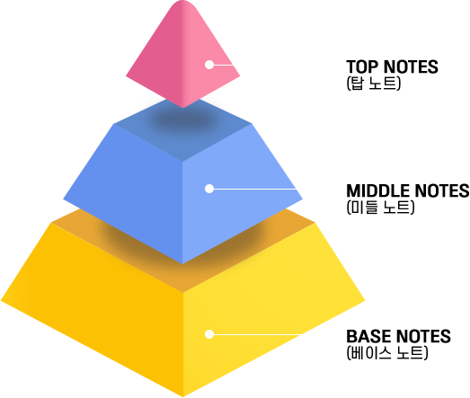 톱 노트, 미들 노트, 베이스 노트 3단계